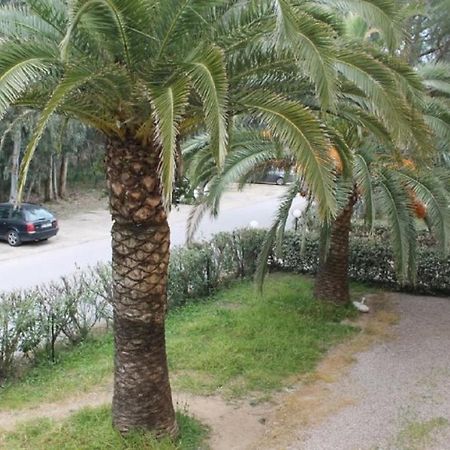 T2 Calvi entierement équipé à 150m de la plage. Extérieur photo