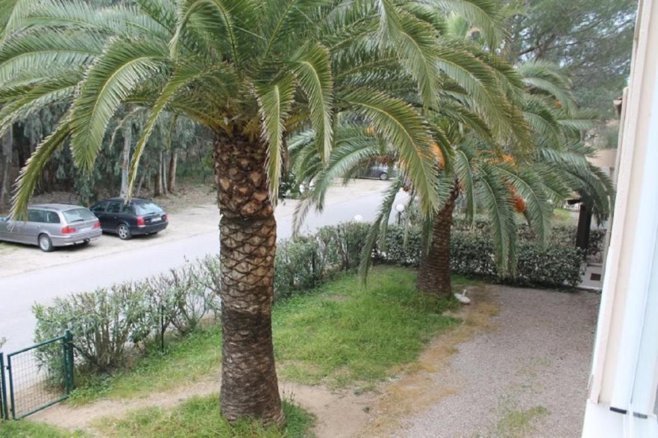 T2 Calvi entierement équipé à 150m de la plage. Extérieur photo